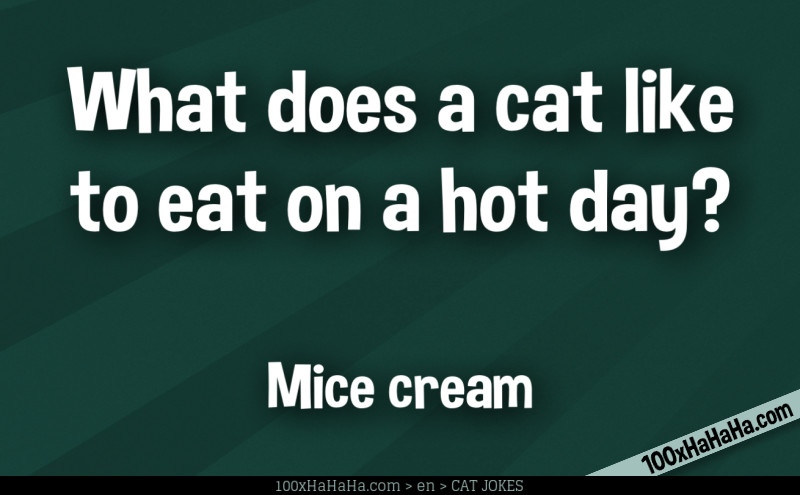 What does a cat like to eat on a hot day? / / Mice cream