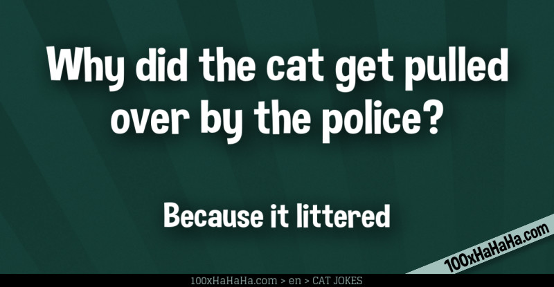 Why did the cat get pulled over by the police? / / Because it littered