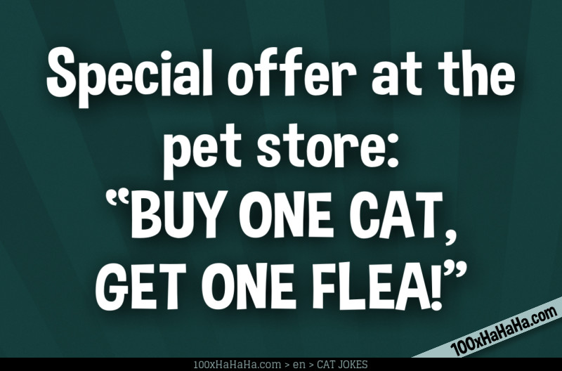 Special offer at the pet store: "BUY ONE CAT, GET ONE FLEA!"