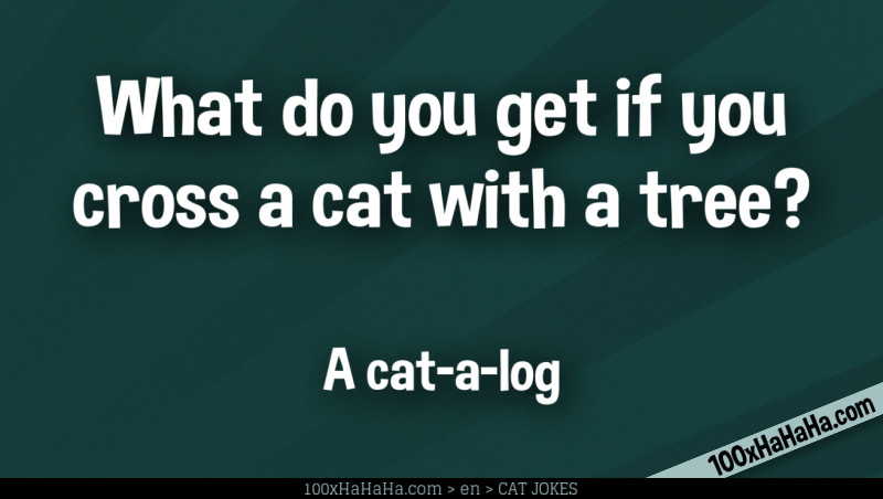 What do you get if you cross a cat with a tree? / / A cat-a-log