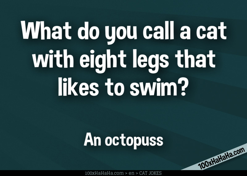 What do you call a cat with eight legs that likes to swim? / / An octopuss