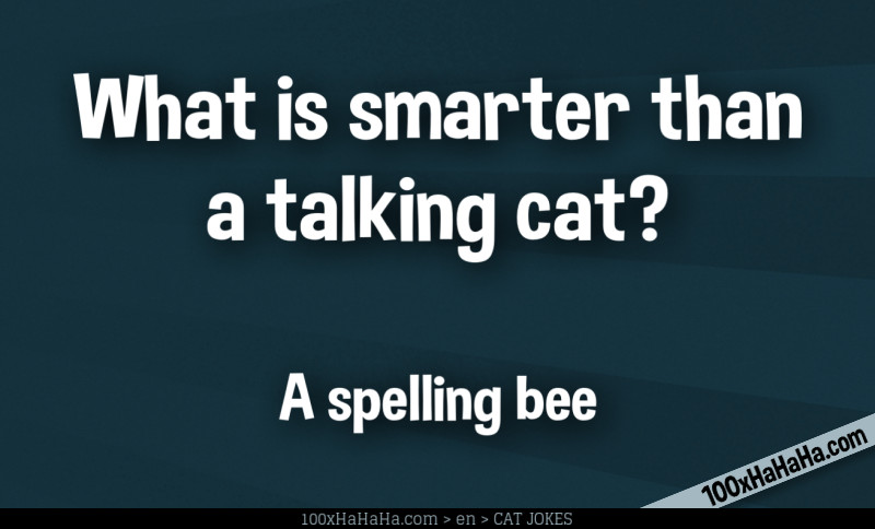 What is smarter than a talking cat? / / A spelling bee