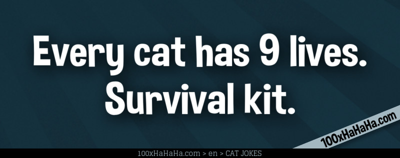 Every cat has 9 lives. Survival kit.