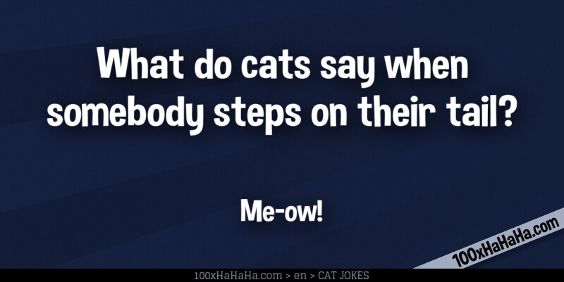 What do cats say when somebody steps on their tail? / / Me-ow!
