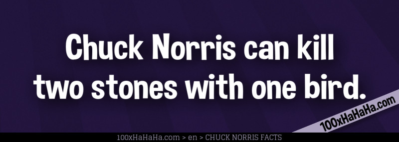 Chuck Norris can kill two stones with one bird