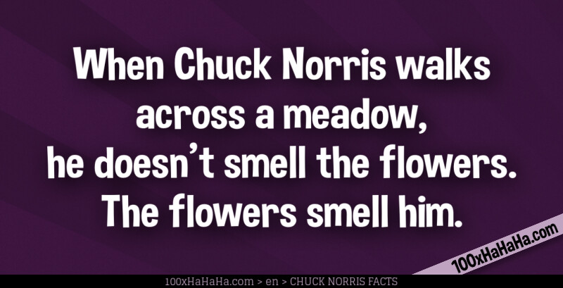 When Chuck Norris walks across a meadow, he doesn't smell the flowers. The flowers smell him.