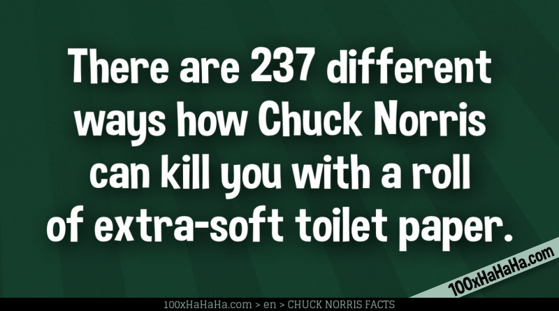 There are 237 different ways how Chuck Norris can kill you with a roll of extra-soft toilet paper