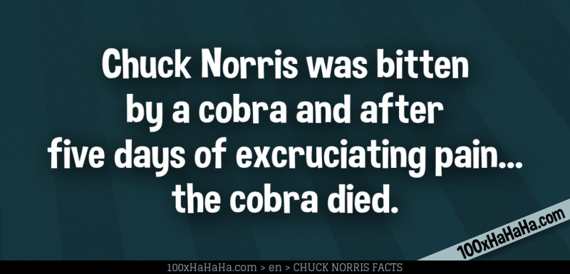 Chuck Norris was bitten by a cobra and after five days of excruciating pain... the cobra died.