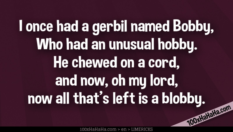 I once had a gerbil named Bobby, / Who had an unusual hobby. / He chewed on a cord, / and now, oh my lord, / now all that's left is a blobby.
