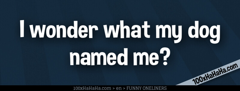 I wonder what my dog named me?