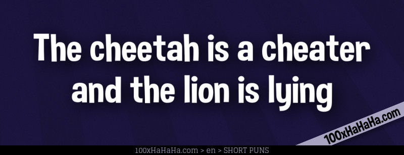 The cheetah is a cheater and the lion is lying