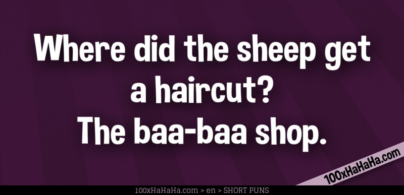 Where did the sheep get a haircut? The baa-baa shop