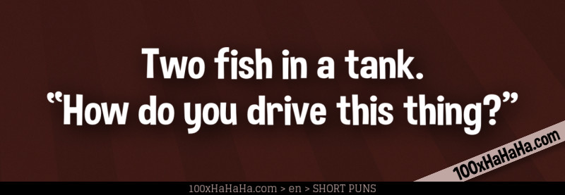 Two fish in a tank. "How do you drive this thing?"