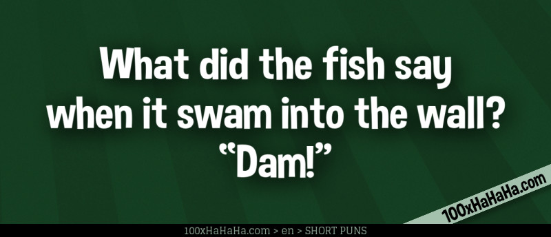 What did the fish say when it swam into the wall? "Dam!"