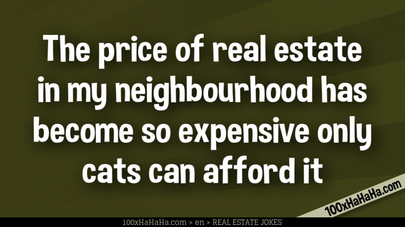 The price of real estate in my neighbourhood has become so expensive only cats can afford it