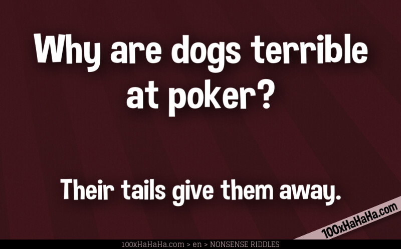 Why are dogs terrible at poker? / / Their tails give them away.