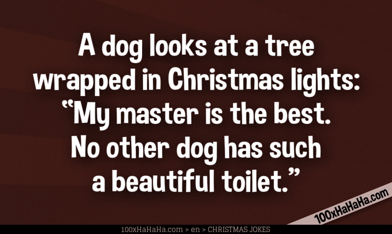 A dog looks at a tree wrapped in Christmas lights: "My master is the best. No other dog has such a beautiful toilet."