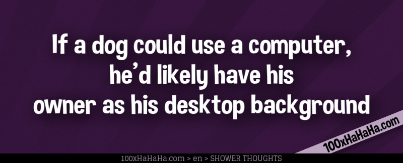 If a dog could use a computer, he'd likely have his owner as his desktop background