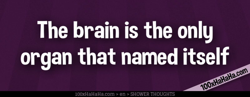 The brain is the only organ that named itself