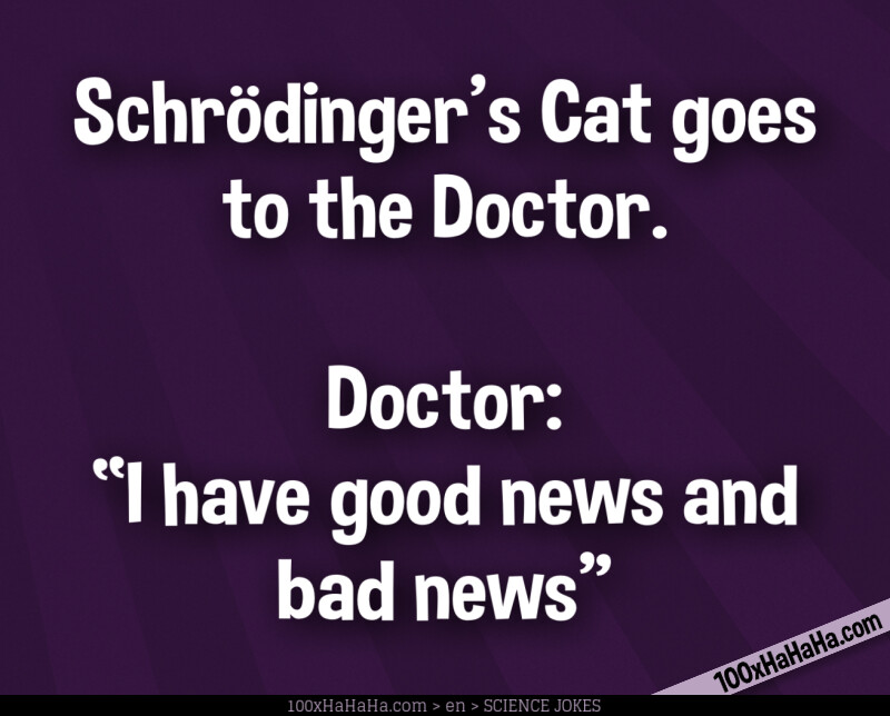 Schroedinger's Cat goes to the Doctor. / / Doctor: "I have good news and bad news"