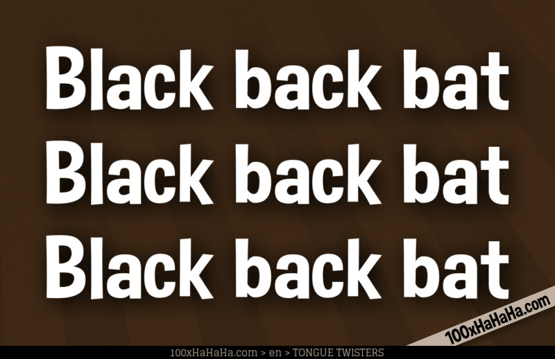 Black back bat / Black back bat / Black back bat