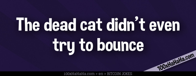 The dead cat didn't even try to bounce