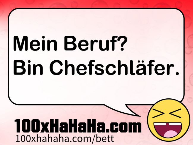 Mein Beruf? / Bin Chefschlaefer.