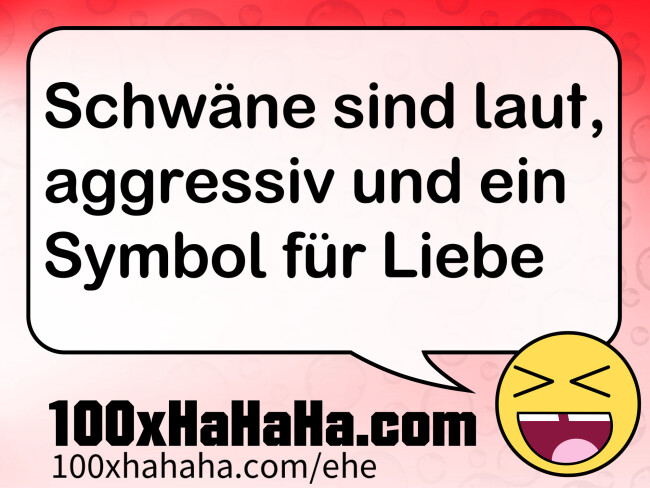 Schwaene sind laut, aggressiv und ein Symbol fuer Liebe
