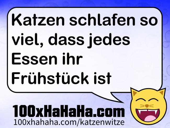 Katzen schlafen so viel, dass jedes Essen ihr Fruehstueck ist