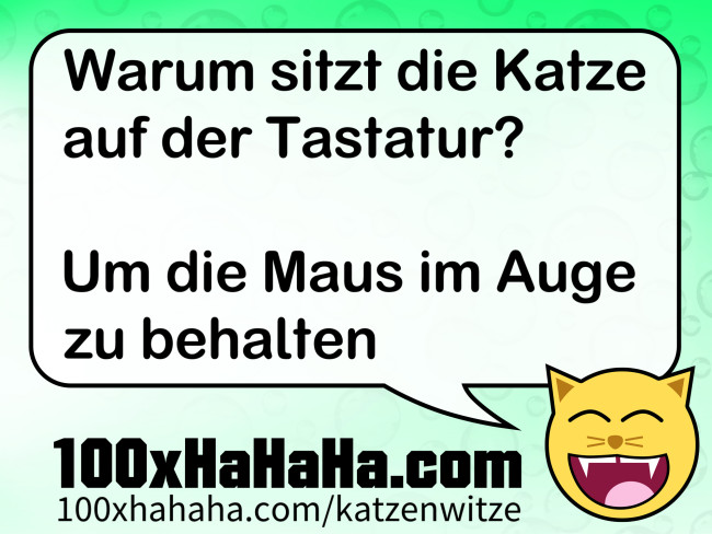 Warum sitzt die Katze auf der Tastatur? / / Um die Maus im Auge zu behalten
