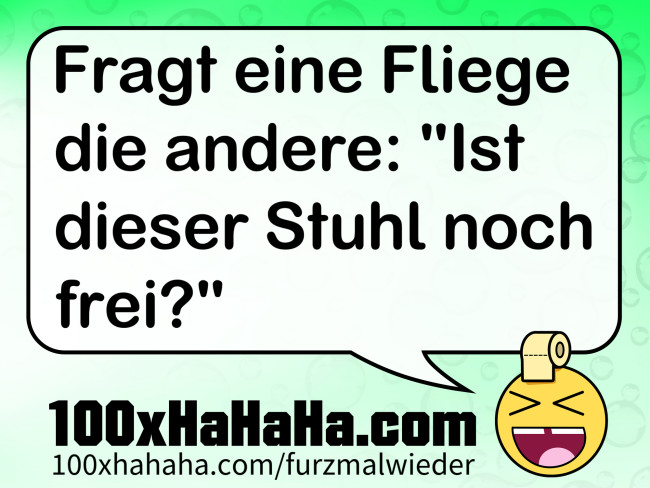 Fragt eine Fliege die andere: "Ist dieser Stuhl noch frei?"
