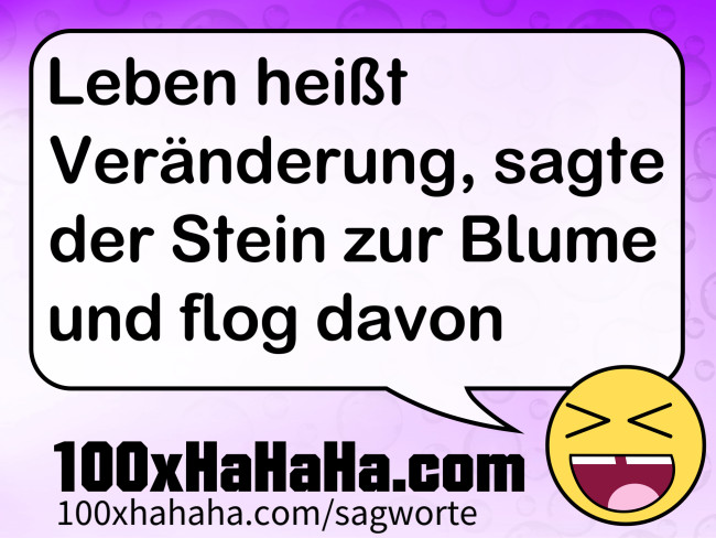 Leben heisst Veraenderung, sagte der Stein zur Blume und flog davon