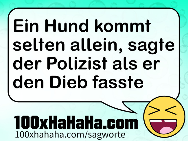 Ein Hund kommt selten allein, sagte der Polizist als er den Dieb fasste