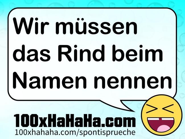 Wir muessen das Rind beim Namen nennen