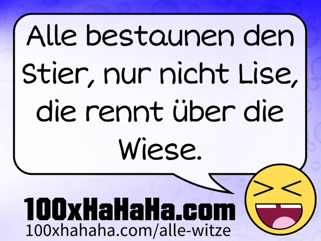 Alle bestaunen den Stier, nur nicht Lise, die rennt ueber die Wiese