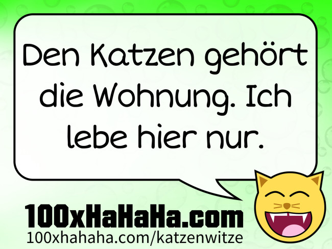 Den Katzen gehoert die Wohnung. Ich lebe hier nur.