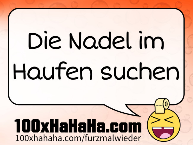 Die Nadel im Haufen suchen