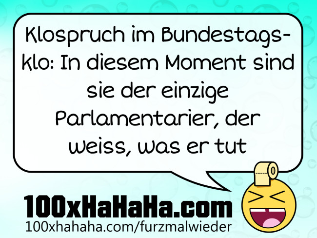 Klospruch im Bundestagsklo: In diesem Moment sind sie der einzige Parlamentarier, der weiss, was er tut