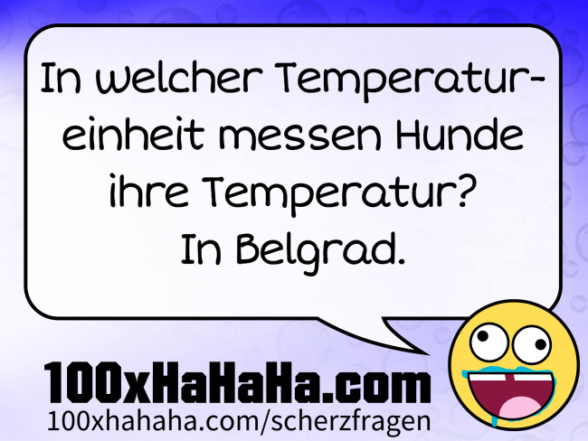 In welcher Temperatureinheit messen Hunde ihre Temperatur? In Belgrad.
