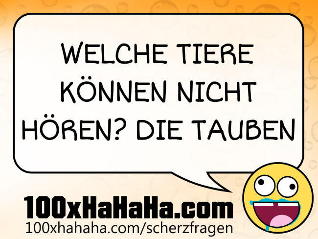 WELCHE TIERE KOENNEN NICHT HOEREN? DIE TAUBEN