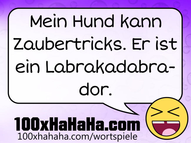 Mein Hund kann Zaubertricks. Er ist ein Labrakadabrador.