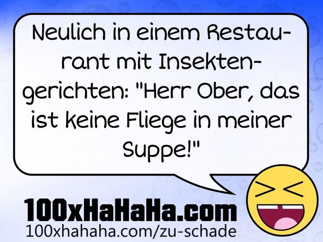 Neulich in einem Restaurant mit Insektengerichten: "Herr Ober, das ist keine Fliege in meiner Suppe!"