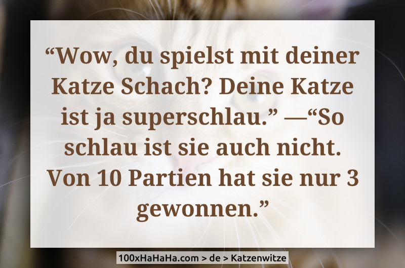 "Wow, du spielst mit deiner Katze Schach? Deine Katze ist ja superschlau." —"So schlau ist sie auch nicht. Von 10 Partien hat sie nur 3 gewonnen."