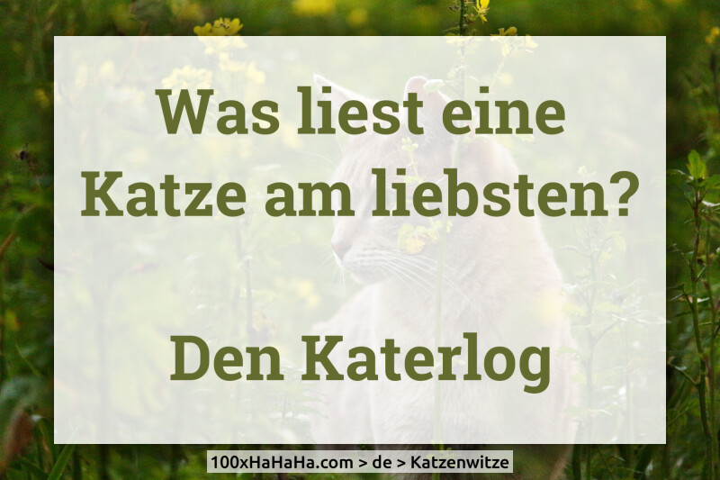 Was liest eine Katze am liebsten? / / Den Katerlog
