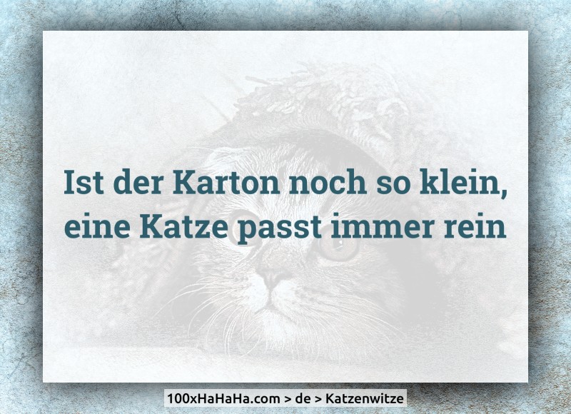 Ist der Karton noch so klein, / eine Katze passt immer rein