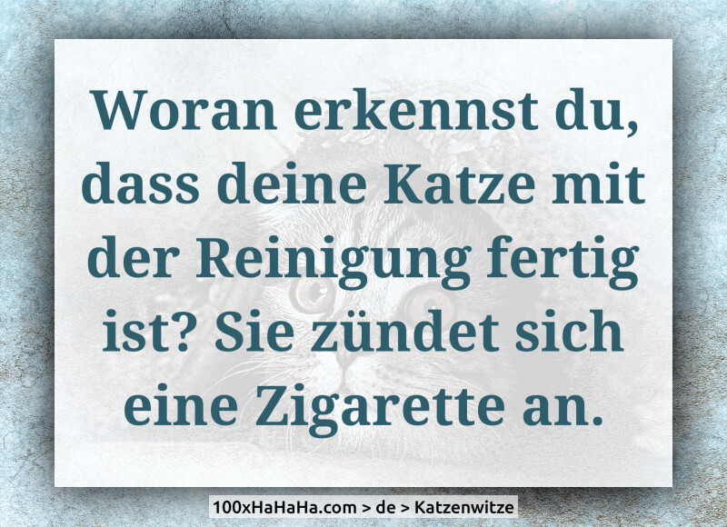 Woran erkennst du, dass deine Katze mit der Reinigung fertig ist? Sie zuendet sich eine Zigarette an.