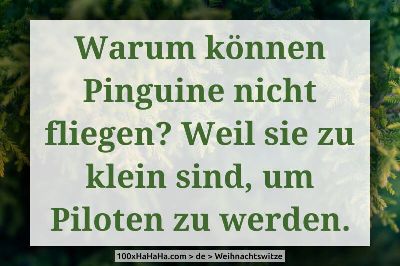 Warum koennen Pinguine nicht fliegen? Weil sie zu klein sind, um Piloten zu werden.