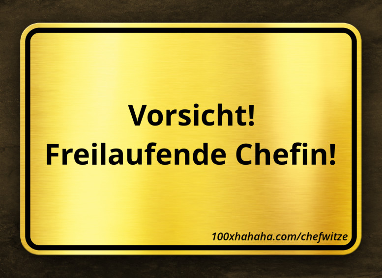 Vorsicht! / Freilaufende Chefin!
