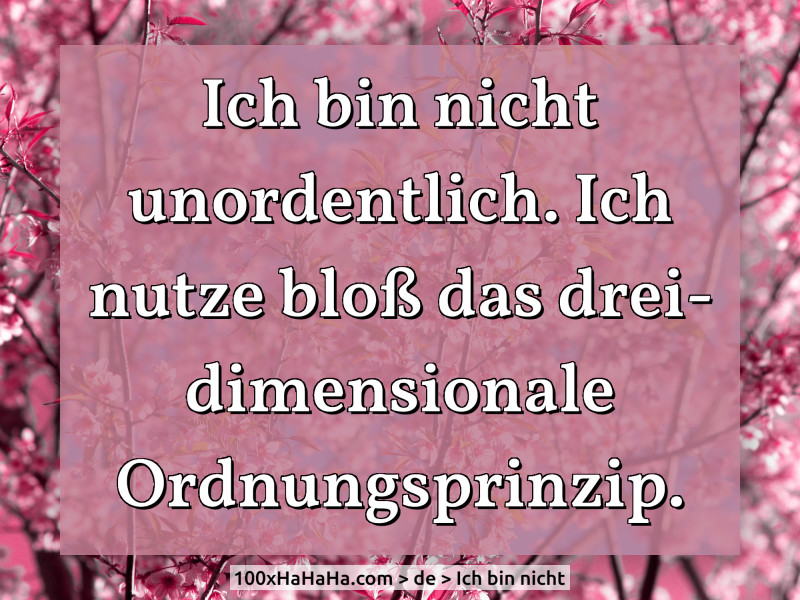 Ich bin nicht unordentlich. Ich nutze bloss das dreidimensionale Ordnungsprinzip.