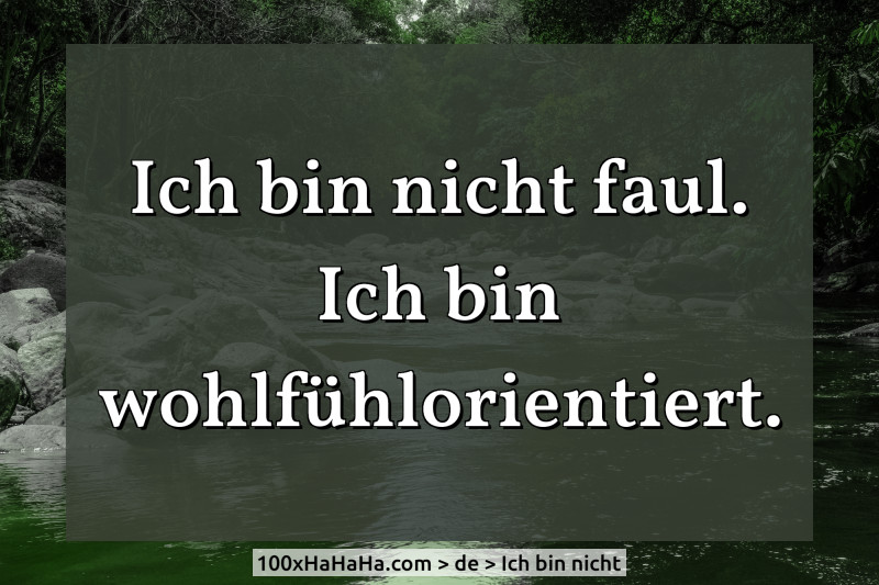 Ich bin nicht faul. Ich bin wohlfuehlorientiert.